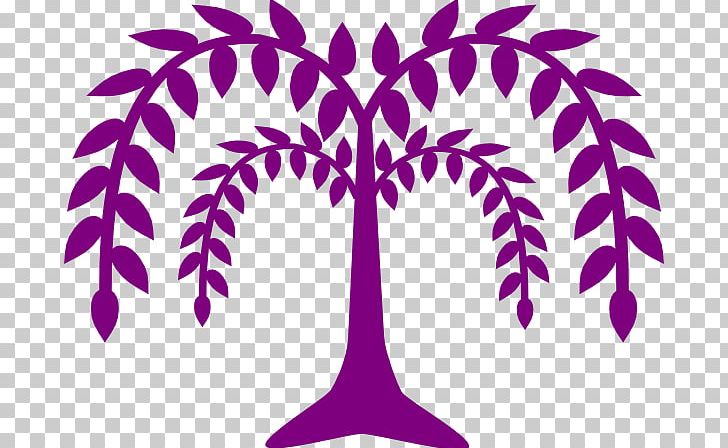 Weeping Willow Tree Drawing PNG, Clipart, Art, Drawing, Leaf, Line, Magenta Free PNG Download