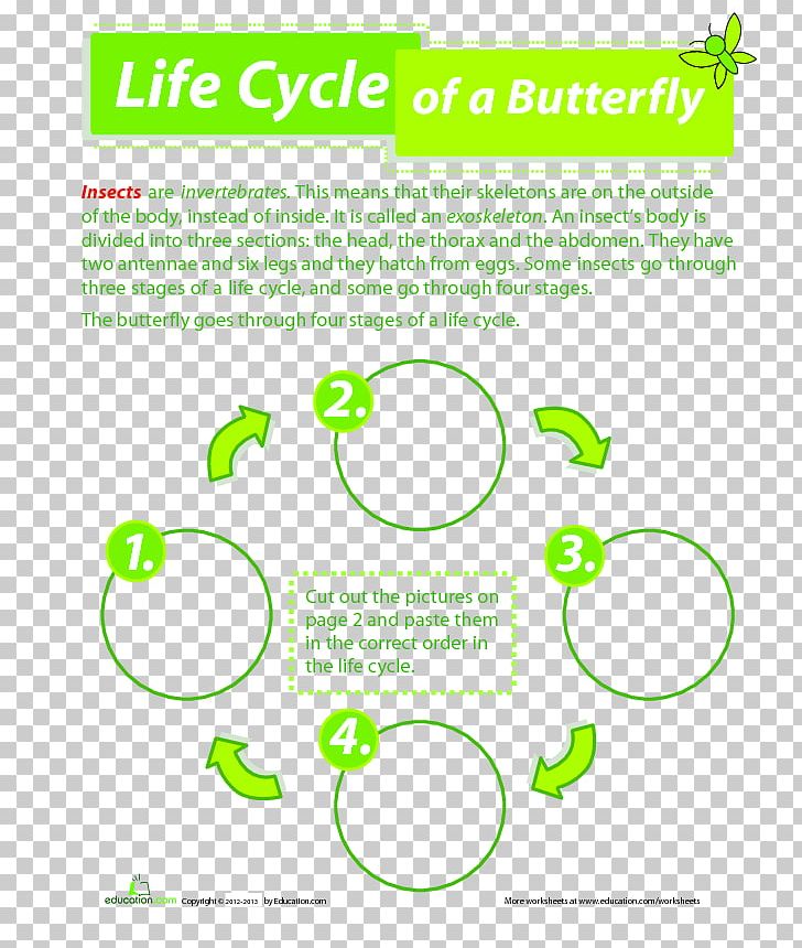 Butterfly Worksheet Biological Life Cycle Frog Third Grade PNG, Clipart, Angle, Area, Biological Life Cycle, Biology, Brand Free PNG Download