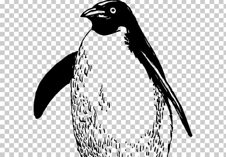 Emperor Penguin Bird Drawing PNG, Clipart, Animal, Animals, Art Black And White, Artwork, Beak Free PNG Download