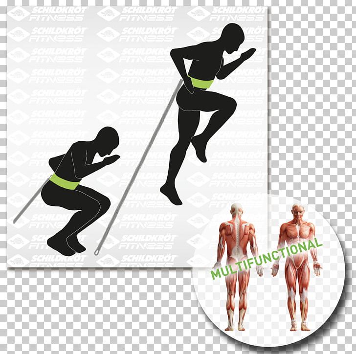 Abdominal External Oblique Muscle Physical Fitness Abdominal Exercise PNG, Clipart, Abdomen, Arm, Bodybuilding, Exercise, Exercise Equipment Free PNG Download