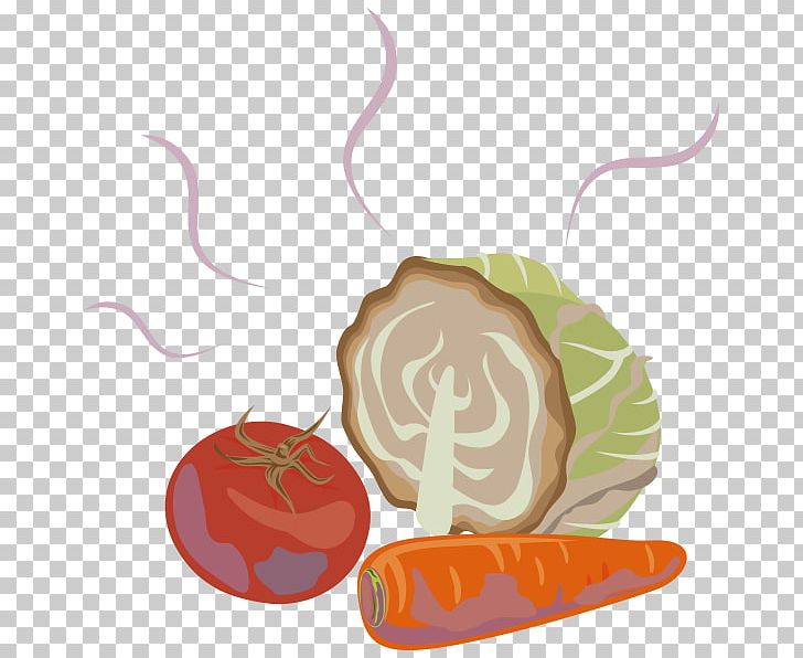 Food Decomposition Illustration Fermentation Product Design PNG, Clipart,  Free PNG Download