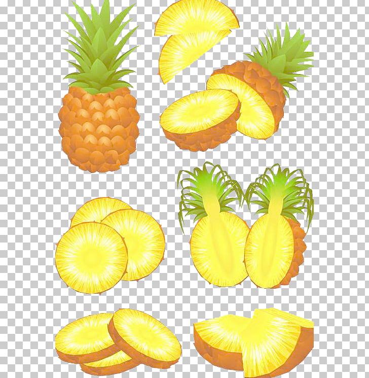 Juice Pineapple Slice Fruit PNG, Clipart, Bromeliaceae, Cartoon, Cartoon Pineapple, Coco, Encapsulated Postscript Free PNG Download