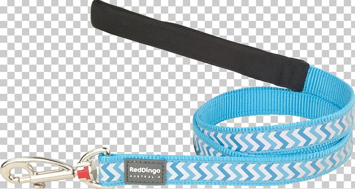 Leash Dingo Chihuahua Puppy Cat PNG, Clipart, Animals, Blue, Cat, Chihuahua, Collar Free PNG Download