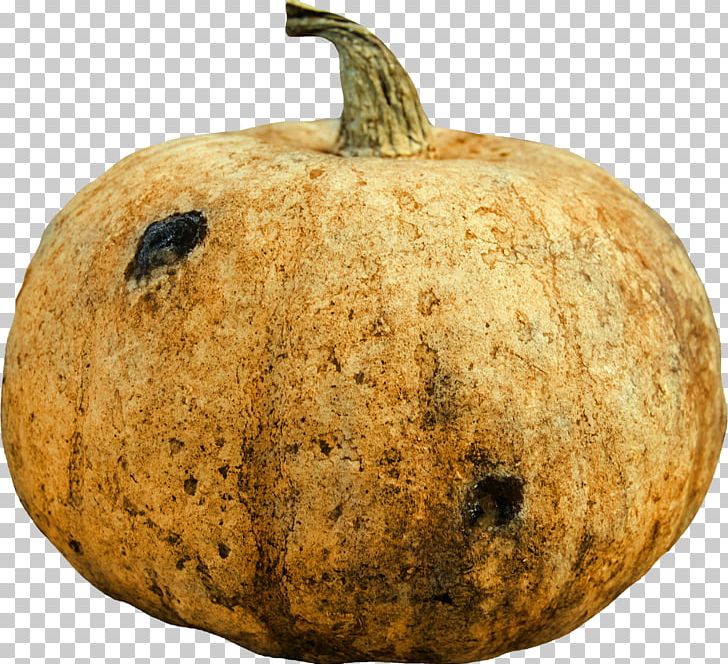 Pumpkin Calabaza Winter Squash Gourd Cucurbita PNG, Clipart, Calabaza, Commodity, Cucumber Gourd And Melon Family, Cucurbita, Food Free PNG Download