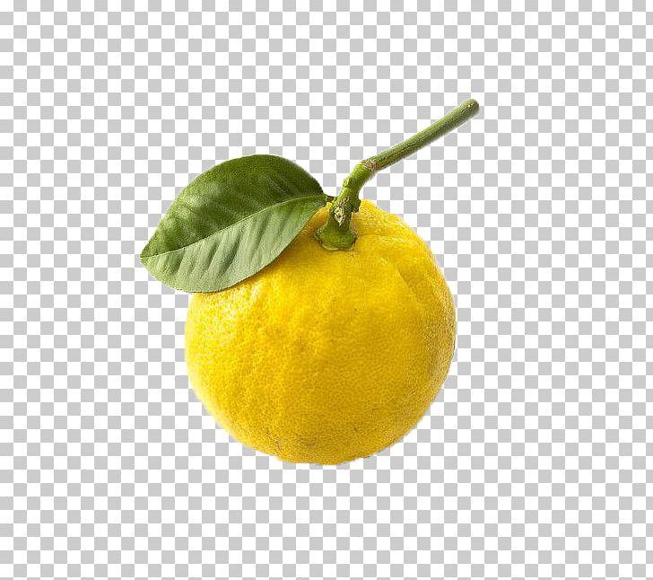 Citrus Junos Lemon Mandarin Orange Bergamot Orange Rangpur PNG, Clipart, Citrus, Food, Fruit, Fruit Nut, Fruits And Vegetables Free PNG Download
