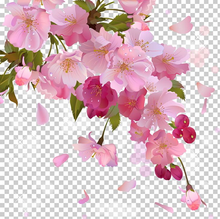 Flower Bouquet Floristry PNG, Clipart, Art, Arumlily, Blossom, Branch, Cherry Blossom Free PNG Download