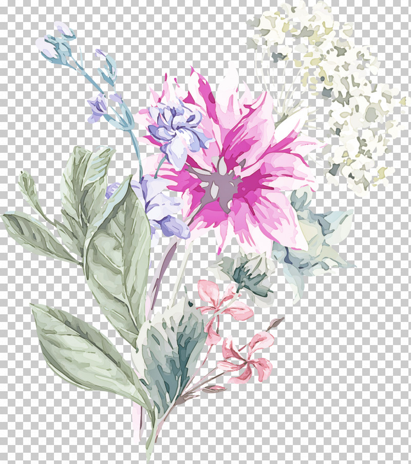 Flower Plant Pedicel Petal Wildflower PNG, Clipart, Flower, Pedicel, Perennial Plant, Petal, Plant Free PNG Download