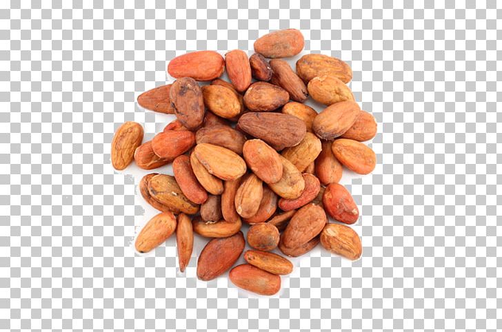 Cocoa Bean Nut Theobroma Cacao Cocoa Solids Food PNG, Clipart, Bean, Cocoa Bean, Cocoa Solids, Coffee Bean, Commodity Free PNG Download