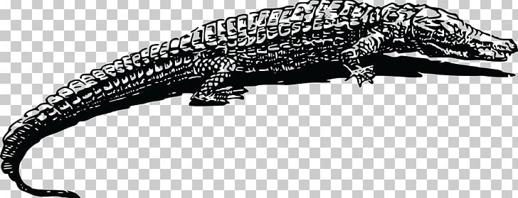 Crocodile Alligator Animal Drawing PNG, Clipart, Alligator, American Crocodile, Animal, Animal Figure, Animals Free PNG Download