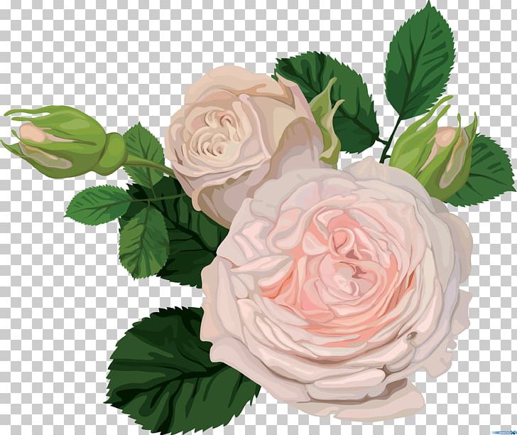 Flower Garden Roses Rosa Chinensis Floristry PNG, Clipart, Artificial Flower, Centifolia Roses, Cut Flowers, Floral Design, Floribunda Free PNG Download