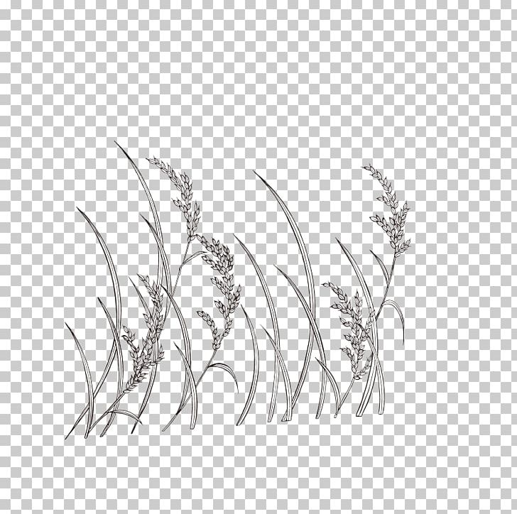 Line Art Wheat Monochrome Painting PNG, Clipart, Black And White, Branch, Cartoon, Commodity, Dra Free PNG Download