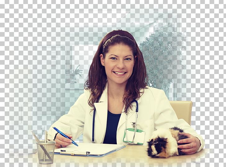 Veterinarian Veterinary Medicine Guinea Pig Photography Veterinary Surgery PNG, Clipart, Business, Clerk, Collage, Communication, Computer Professional Free PNG Download