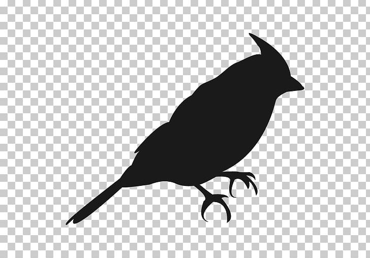 Bird Silhouette Chickadee PNG, Clipart, Animals, Beak, Bird, Black And White, Branch Free PNG Download