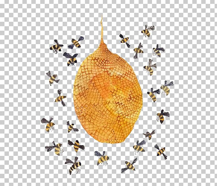 Honey Bee Hornet Beehive Bumblebee PNG, Clipart, Bee Hive, Bee Honey, Beekeeping, Bees, Bees Honey Free PNG Download
