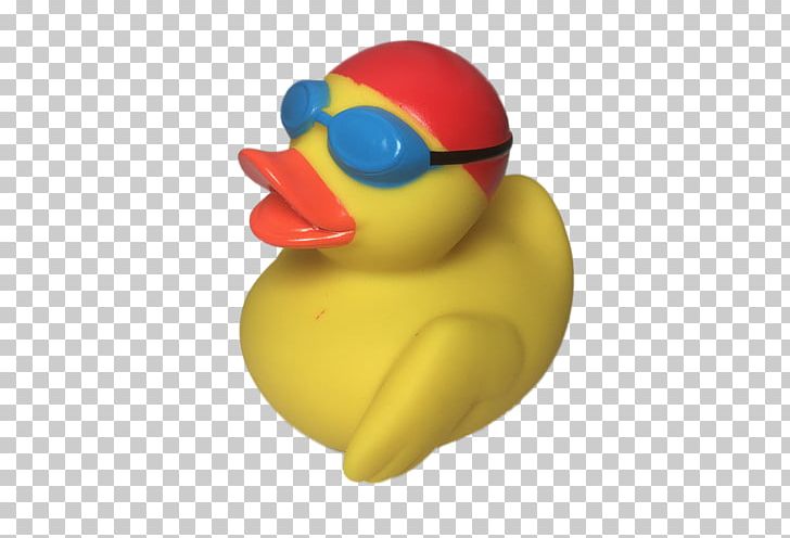 Rubber Duck Yellow Toy Swimming PNG, Clipart, Animals, Beak, Bird, Duck, Ducks Geese And Swans Free PNG Download