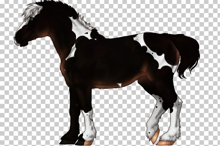 Stallion Thoroughbred Mare Dutch Warmblood Mustang PNG, Clipart, Colt, Dutch Warmblood, Foal, Halter, Horse Free PNG Download