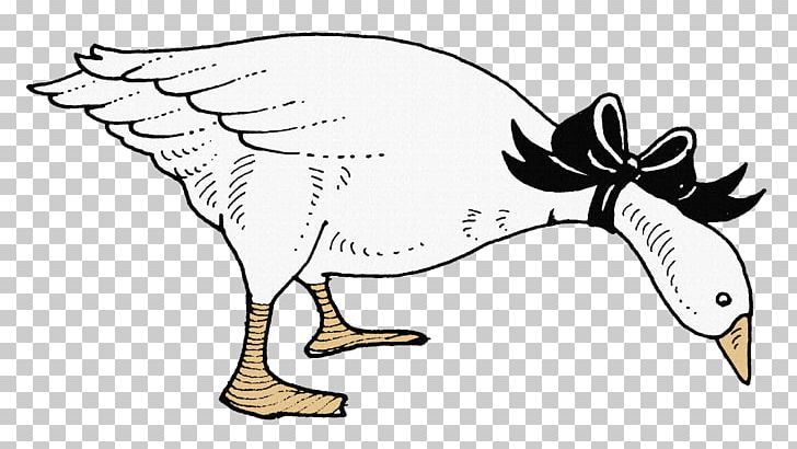 Domestic Goose Cygnini Duck White PNG, Clipart, Animal, Animals, Bird, Cartoon, Chicken Free PNG Download