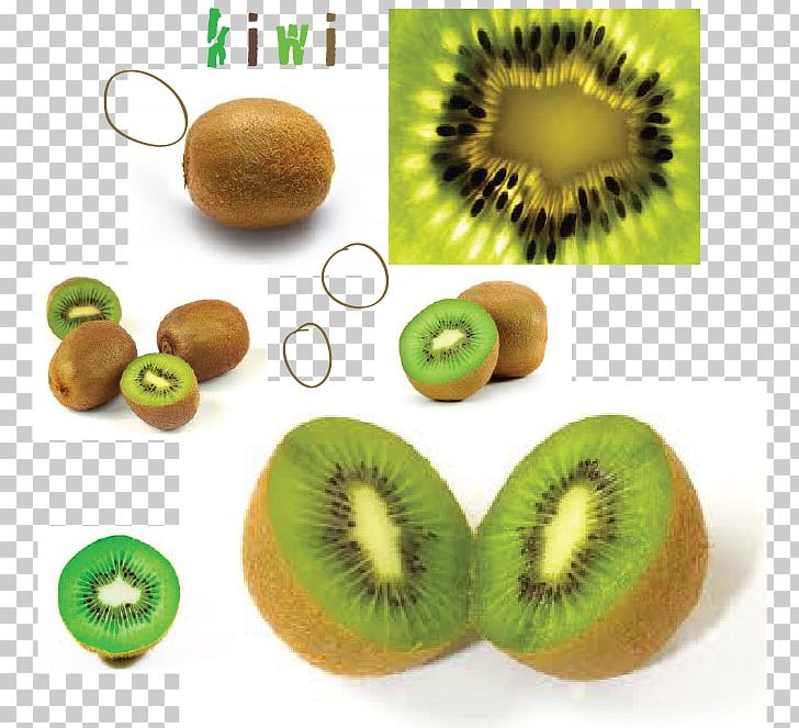 Kiwifruit Water Bottles India Plastic Infuser PNG, Clipart, Bisphenol A, Bottle, Craft, Food, Fruit Free PNG Download