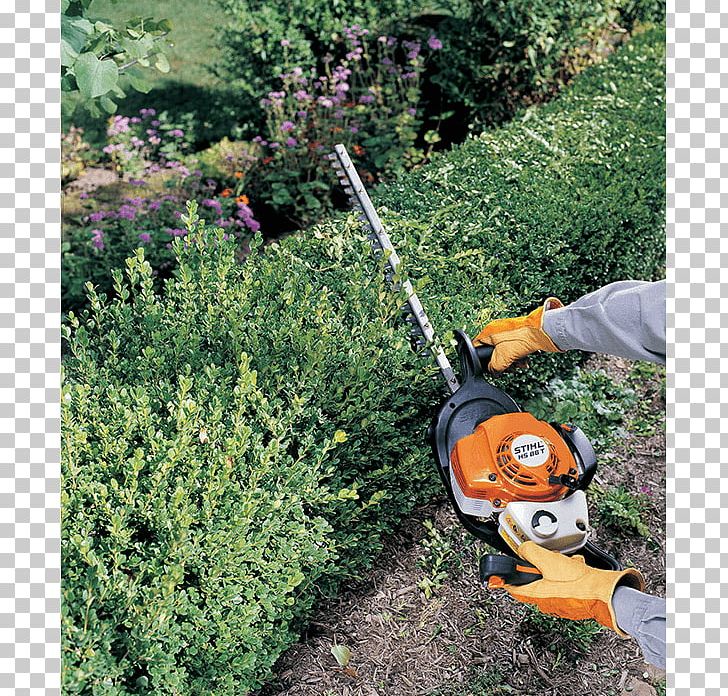 Lawn Mowers Hedge Trimmer String Trimmer PNG, Clipart, Agricultural Machinery, Edger, Evergreen, Garden, Gardening Free PNG Download