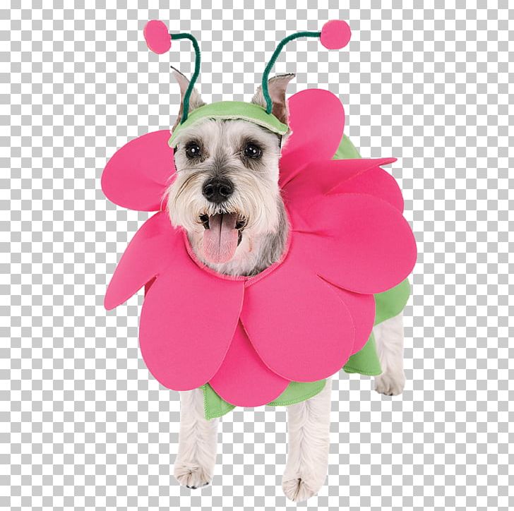 Pug Puppy Costume Flower Bouquet PNG, Clipart, Animal, Animals, Artificial Flower, Baby Clothes, Carnivoran Free PNG Download