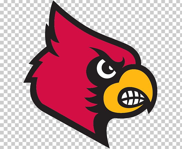 University Of Louisville Louisville Cardinals Men's Basketball Louisville Cardinals Softball Cardinal Bird PNG, Clipart,  Free PNG Download