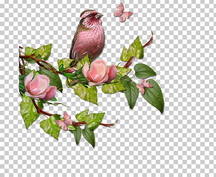 Bird In The Tree Branch PNG, Clipart, Bird, Bird In The Tree, Blossom, Branch, Bud Free PNG Download