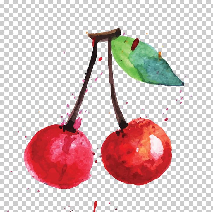 Food Cherry Fruit Art PNG, Clipart, Accessory Fruit, Acerola, Acerola Family, Amaretto, Art Free PNG Download