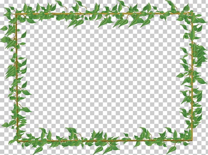 Portable Network Graphics Graphics Photography PNG, Clipart, Area, Art, Border, Branch, Desktop Wallpaper Free PNG Download