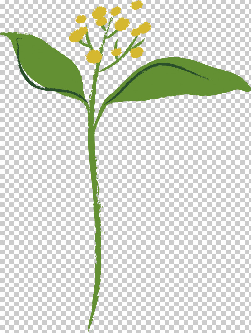 Flower Alpine Forget-me-not Plant Leaf Plant Stem PNG, Clipart, Alpine Forgetmenot, Flower, Leaf, Milkweed, Pedicel Free PNG Download