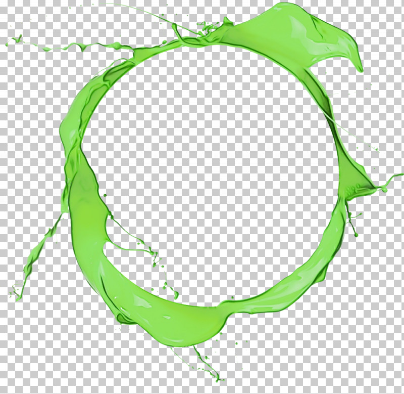 Green Leaf Plant Circle PNG, Clipart, Circle, Green, Leaf, Paint, Plant Free PNG Download
