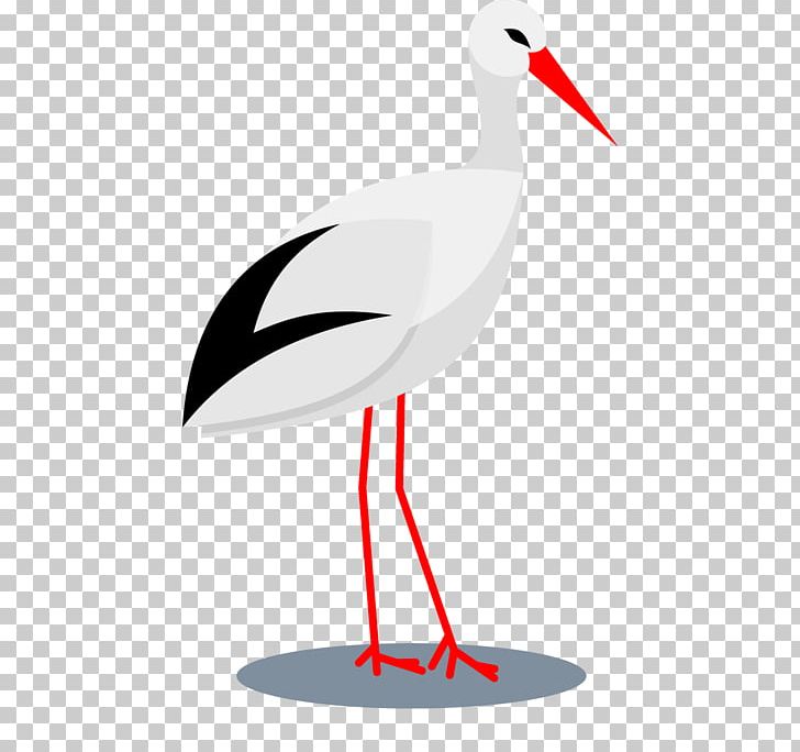 Bird Ciconia Beak Crane PNG, Clipart, Adobe Illustrator, Animals, Download, Encapsulated Postscript, Font Free PNG Download