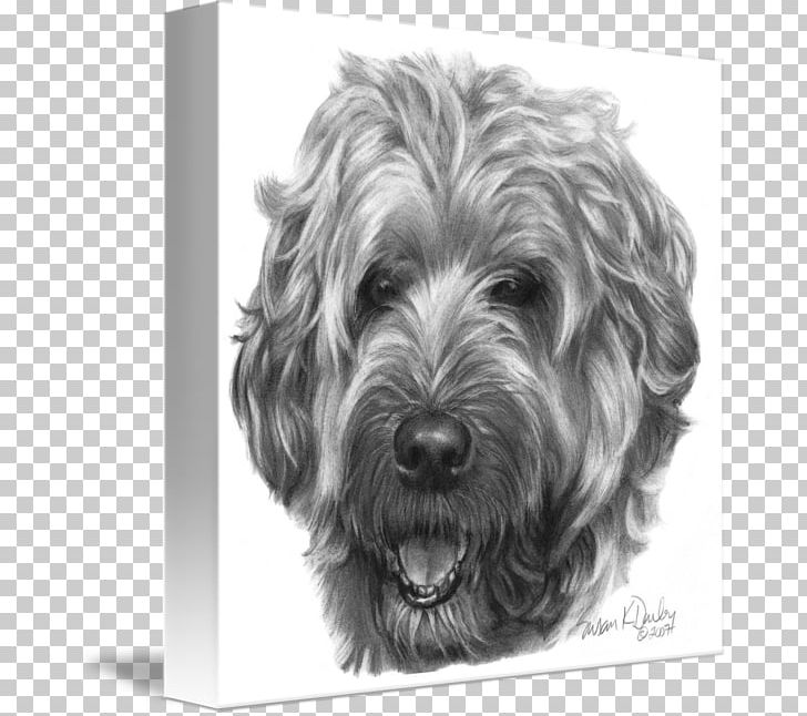 Miniature Schnauzer Glen Skye Terrier Soft-coated Wheaten Terrier Cairn Terrier PNG, Clipart, Carnivoran, Companion Dog, Dog Breed, Dog Like Mammal, Glen Of Imaal Terrier Free PNG Download