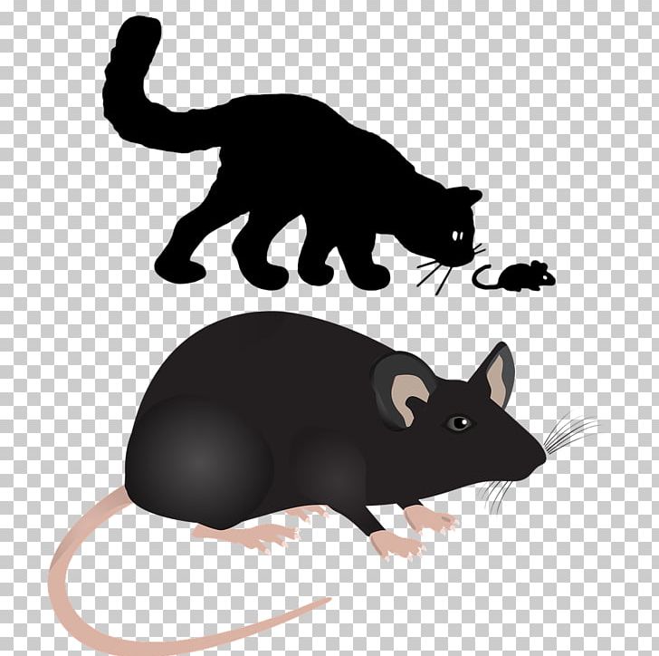 Labrador Retriever Computer Mouse Rodent Rat PNG, Clipart, Animal, Black, Black Mouse, Carnivoran, Cat Free PNG Download