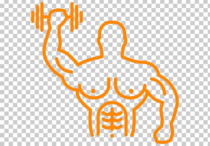 Muscle Hypertrophy Bodybuilding Exercise Electrical Muscle Stimulation PNG, Clipart, Adipose Tissue, Area, Arm, Bodybuilding, Dumbbell Free PNG Download