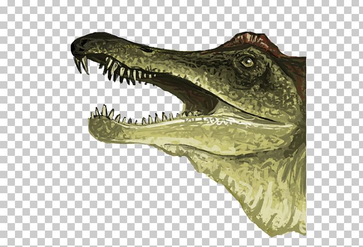 Nile Crocodile Alligator Velociraptor Tyrannosaurus PNG, Clipart, Alligator, Animal, Animals, Crocodile, Crocodilia Free PNG Download