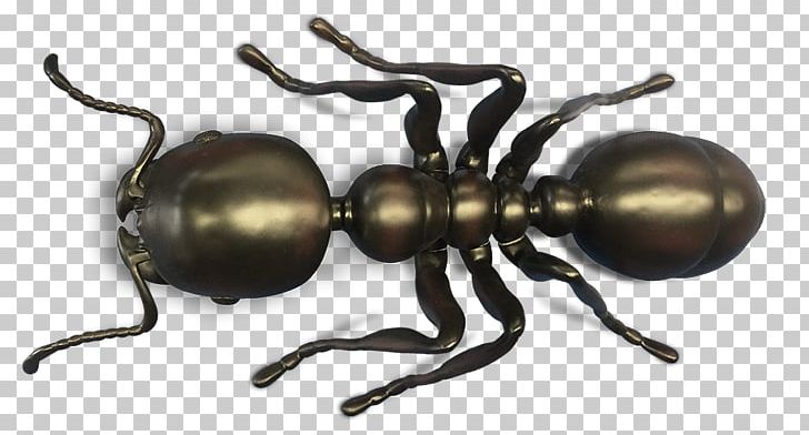 The Ants Hymenopterans Insect Ant Colony PNG, Clipart, Animals, Ant, Ant Colony, Ants, Army Ant Free PNG Download