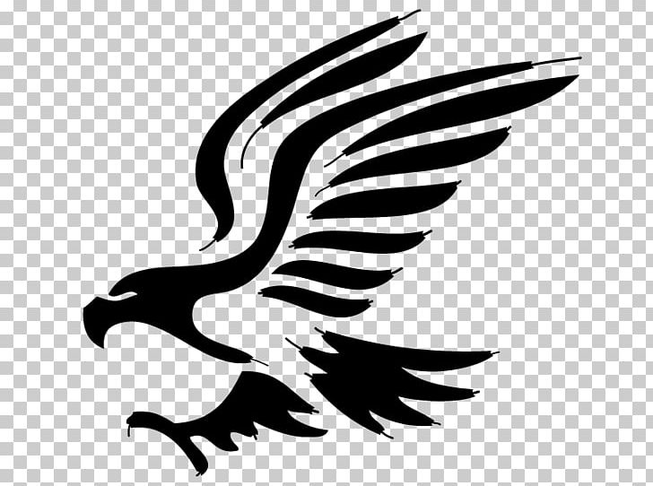 Bald Eagle Colegio De Bachilleres Del Estado De Chihuahua Plantel 6 Ópticas 20 20 Óptica 20 20 De México PNG, Clipart, Accipitriformes, Bald Eagle, Beak, Bird, Bird Of Prey Free PNG Download