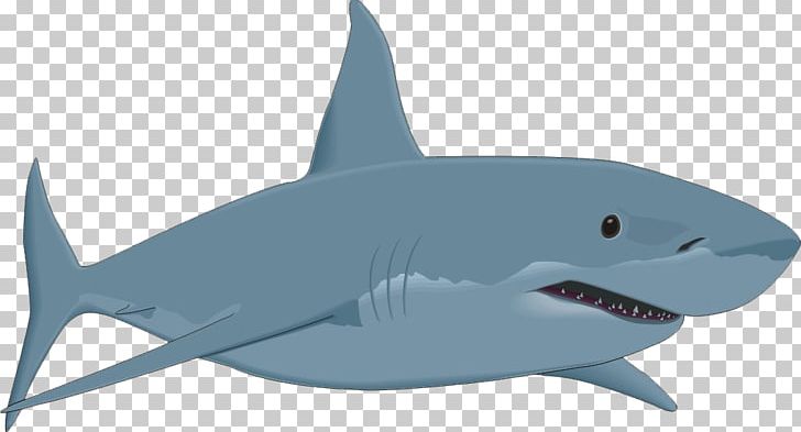 Bull Shark PNG, Clipart, Animals, Big Shark, Blog, Blue, Cartoon Shark Free PNG Download