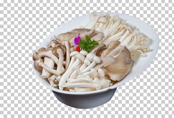 Chinese Cuisine Ingredient Oyster Mushroom PNG, Clipart, Asian Food, Assorted, Assorted Cold Dishes, Chinese Cuisine, Cuisine Free PNG Download