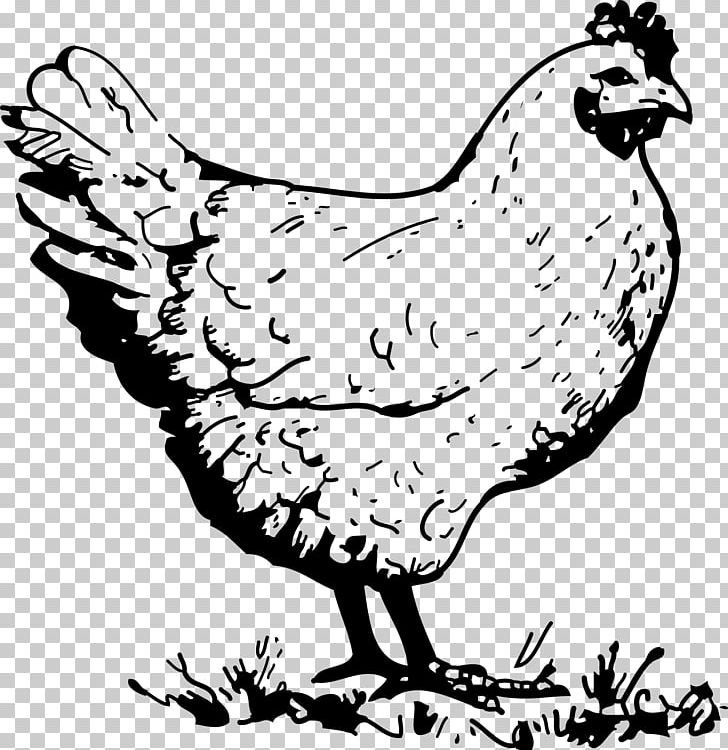 Dorking Chicken Chicken Meat PNG, Clipart, Art, Artwork, Beak, Bird, Black And White Free PNG Download