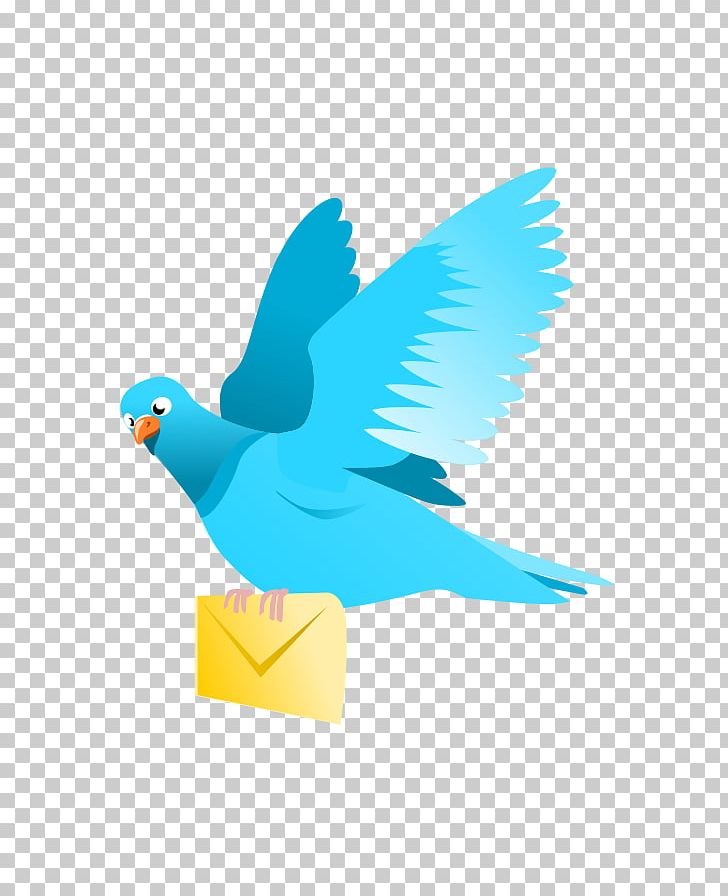 Homing Pigeon English Carrier Pigeon Columbidae Pigeon Post PNG, Clipart, Beak, Bird, Columbidae, Delivery, Domestic Pigeon Free PNG Download