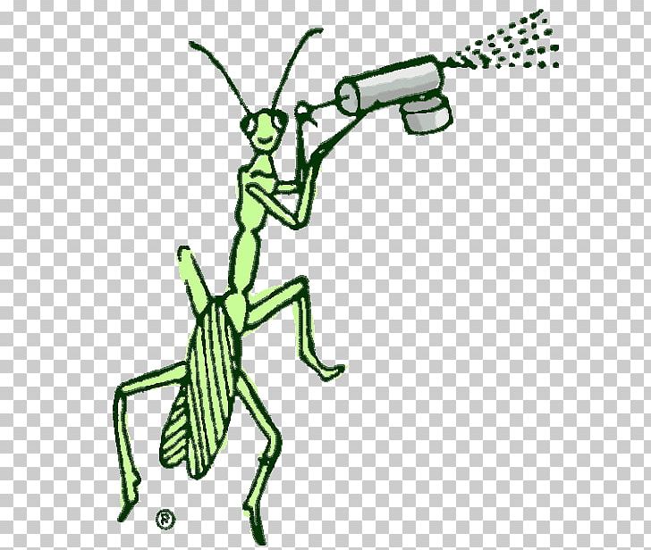 Insect Illustration Pest Cartoon Desktop PNG, Clipart, Art, Arthropod, Black, Black And White, Cartoon Free PNG Download