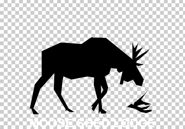 Mule Mustang Moose Cattle PNG, Clipart, Black And White, Cattle, Cattle Like Mammal, Deer, Fauna Free PNG Download