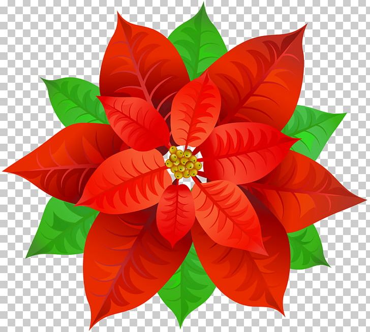 Poinsettia Bowl PNG, Clipart, Christmas, Christmas Clipart, Christmas Poinsettia, Clipart, Clip Art Free PNG Download