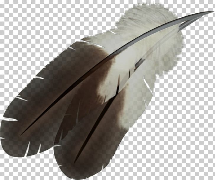 Feather PNG, Clipart, Animals, Archive File, Background, Clip Art, Computer Icons Free PNG Download