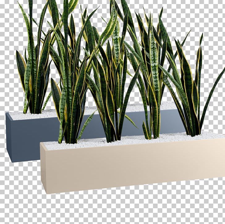 Flowerpot Flower Box Furniture Wood TD Garden Box Office PNG, Clipart, Box, Boxes, Box Office, Cupboard, Flower Box Free PNG Download