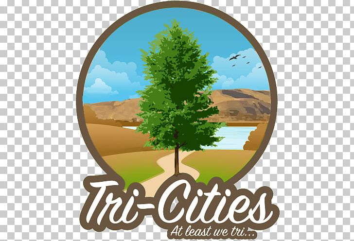 Tree Logo Portable Network Graphics Landscaping PNG, Clipart, Brand, Grass, Landscaping, Logo, Plant Free PNG Download