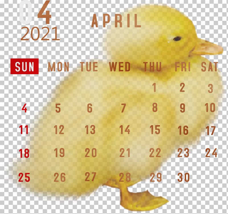 Duck Htc Hero Water Bird Beak Birds PNG, Clipart, 2021 Calendar, April 2021 Printable Calendar, Beak, Birds, Calendar System Free PNG Download