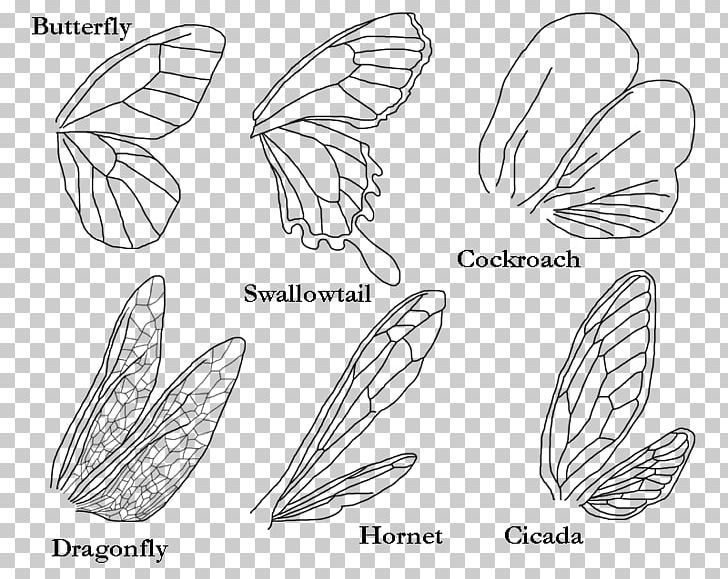 Butterfly Insect Wing Bird PNG, Clipart, Angel Wing, Angle, Area, Art, Artwork Free PNG Download