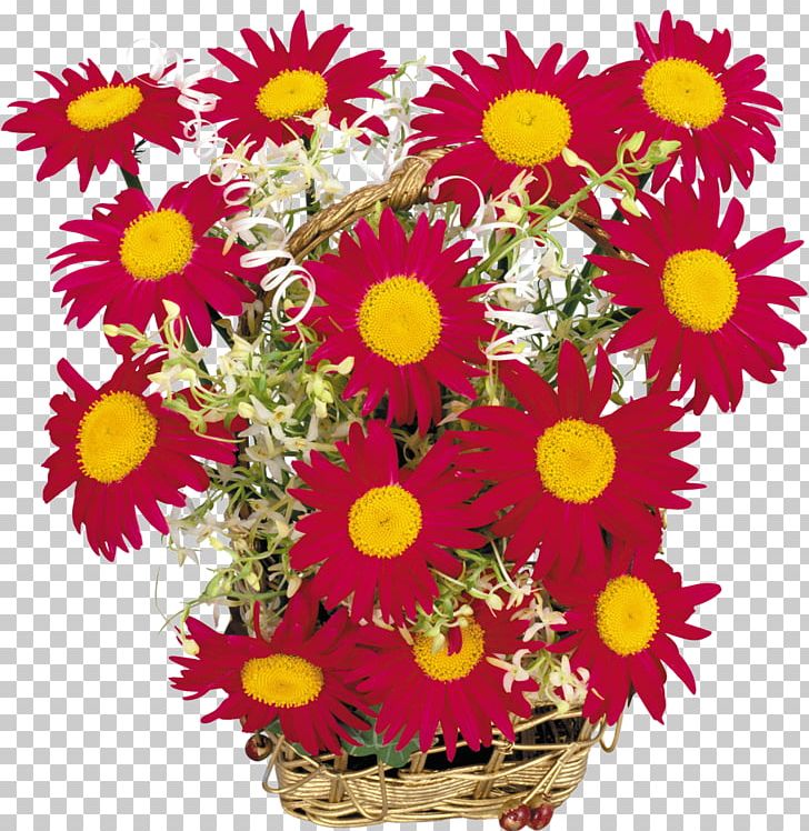 Cut Flowers Chrysanthemum PNG, Clipart, Annual Plant, Aster, Camomile, Chrysanthemum, Chrysanths Free PNG Download